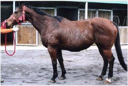 �ȸ����� ����