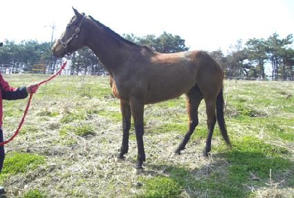 ��ũƽŸ�� ����