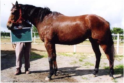 �����¸� ����