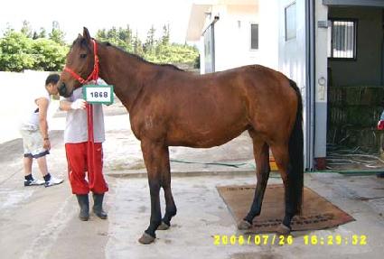 ��ũ������ ����