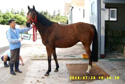 ��Ʈ��Ƽ���� ����