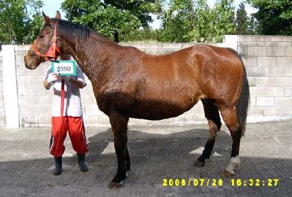 ���ڶ��� ����