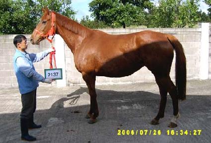 �귣ġ���� ����