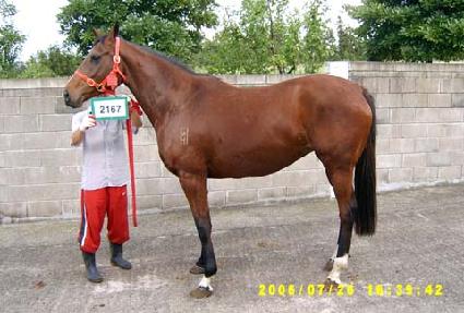 ���νõ� ����