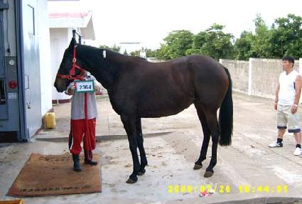 ������ ����