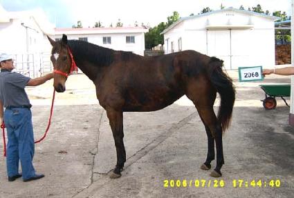 �������� ����