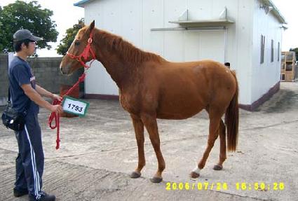 �ε����̳ʺ� ����