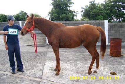 �㸮�����ع� ����