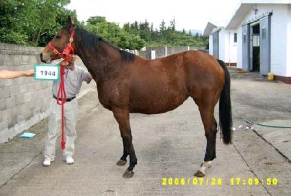 �ܹ���� ����