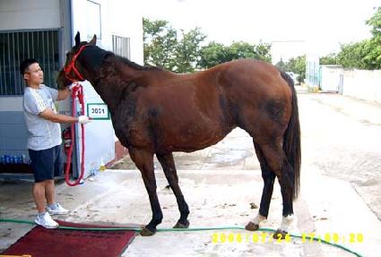 ����Ʈ���Ѹ� ����