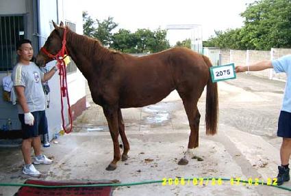 �Ƿ�Ʈ��Ŭ ����