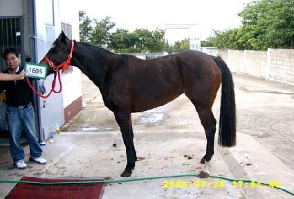 ���̵� ����