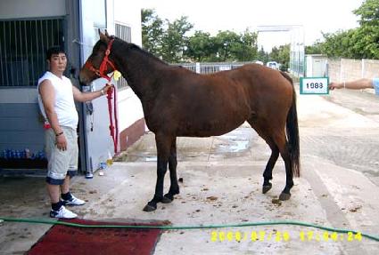 ���Ǵ��� ����