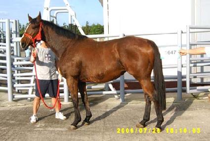 �����۷��� ����