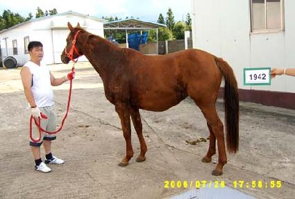 Ŭ������ڽ� ����