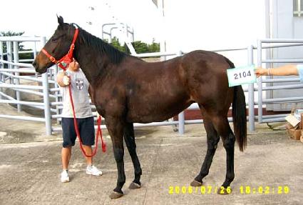 ©��ī�� ����