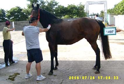 ���ٳ� ����