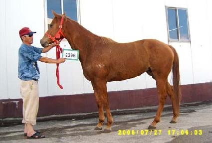 �ɽ� ����