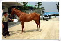 ���̽�ũ�����ƿ� (MY SECRETS OUT) ����