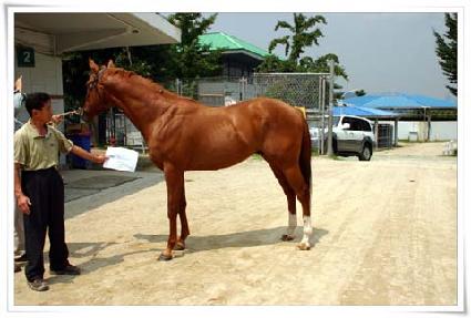 ���̽�ũ�����ƿ� ����