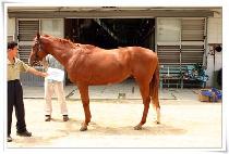 Ű�ųѹ��� (KISSIN NUMBERS) ����