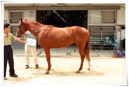 Ű�ųѹ��� ����