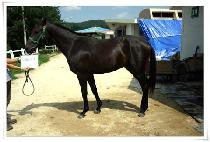 ���̳κ�Ʈ (FINAL BIT) ����