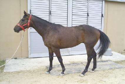 Ķ���Ŀ� ����