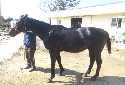 �̽����ǰܸ� ����