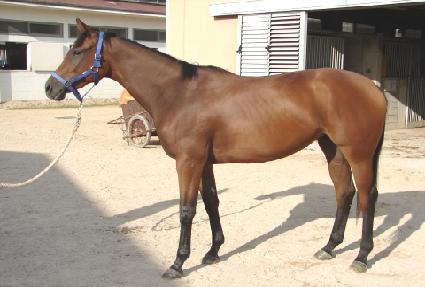 ���̸���Ŭ���� ����