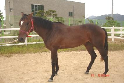 �����������Ʈ ����