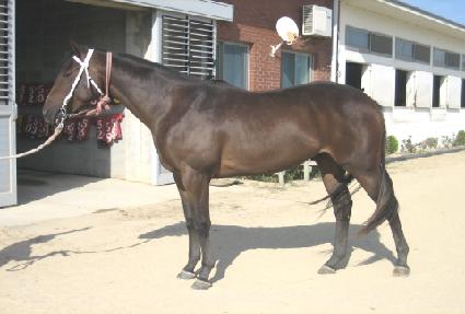 �����ϸ� ����