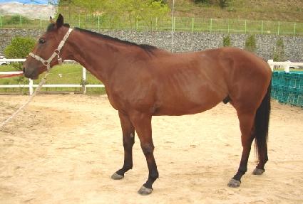 ����Ʈ������丮 ����