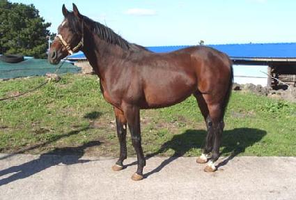 �������� ����