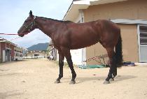 ������ε� (SERVE THE LORD) ����