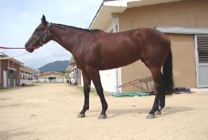 ������ε� ����