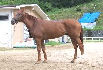 õ������ (CHEONSU MANSU) ����