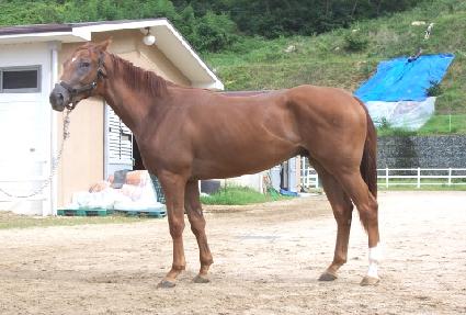 õ������ ����