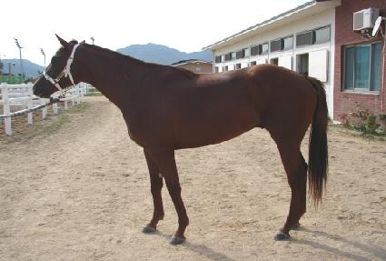 ��������ũ ����