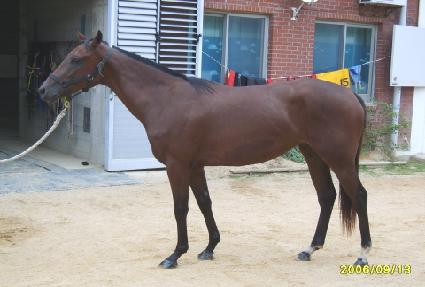 �����Ǻ� ����