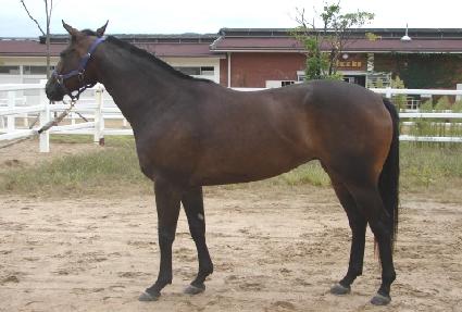 ���÷���ƽ���� ����