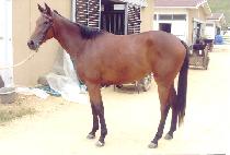 �����̽��ǵ� (FRI SPEED) ����