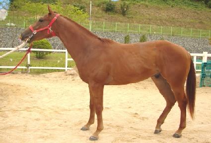 ��ġ������� ����