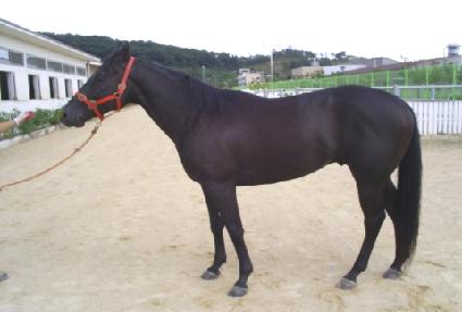 ���Ϻ��ν�Ƽ ����