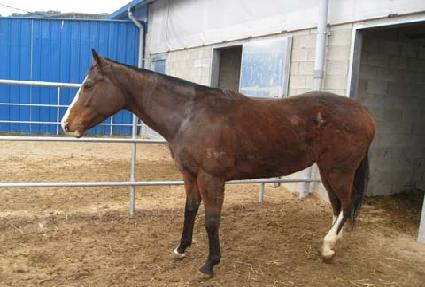 �������� ����