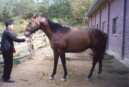 ���Ź� ����