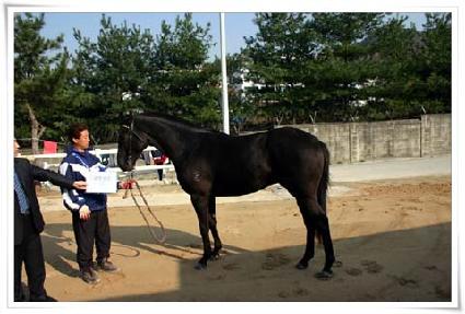 ��õ���� ����