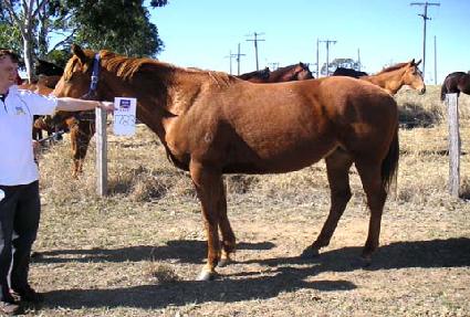 �׷������Ͼ� ����