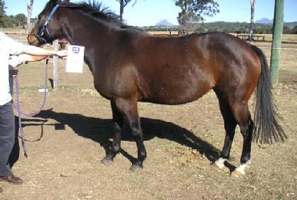 �޿��Ͼ� ����