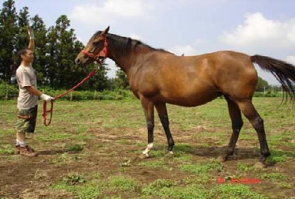 ������� ����